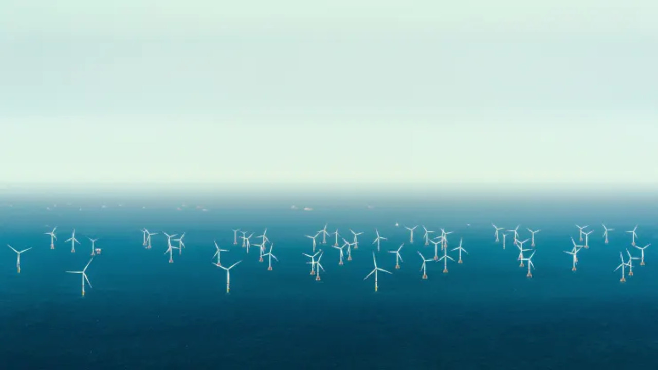 L'Olanda spegne le sue turbine eoliche per permettere il transito degli uccelli migratori  